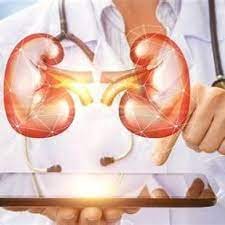 Best Nephrologist In Nagpur