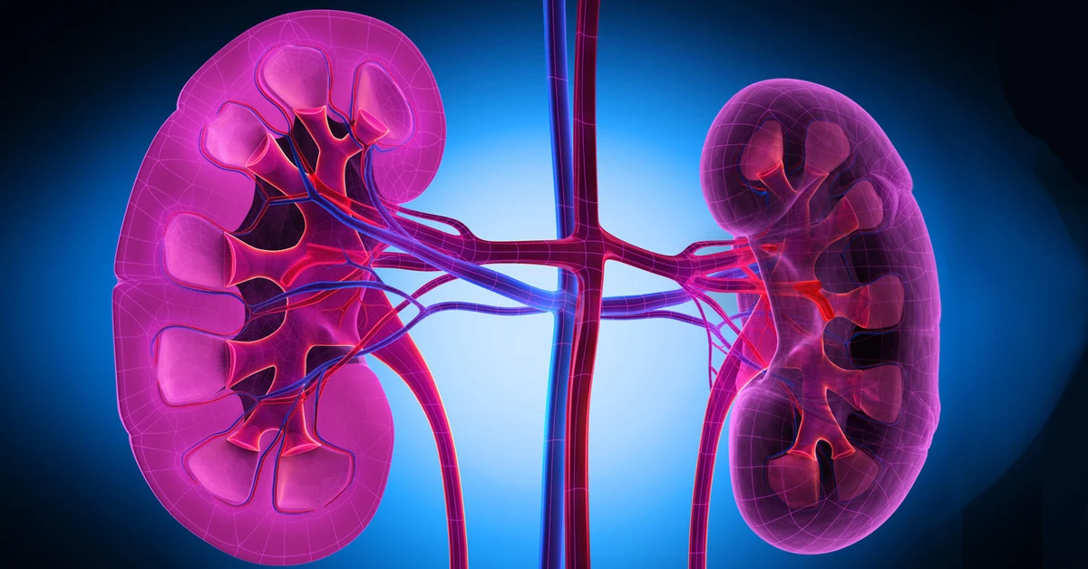 Lupus Nephritis Treatment In Nagpur